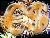 Andamenti di fine e inizio anno Andamenti di fine e inizio anno