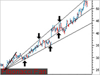 Fibonacci Fan Fibonacci Fan