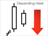Descending Hawk